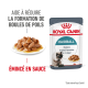 Pochette de nourriture pour chat Royal Canin Hairball, présentant une assiette de nourriture humide et un chat, avec un texte indiquant qu'elle réduit la formation de boules de poils en 14 jours.