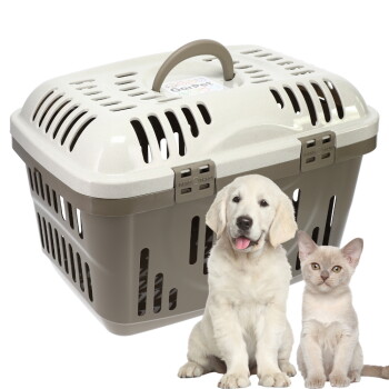 Beige Kunststoff-Transportbox mit Griff und Lüftungsschlitzen, auf den Verschlüssen 'Press' aufgedruckt; ein goldener Welpe und ein cremefarbenes Kätzchen daneben.