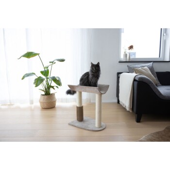 Een zwarte kat zit bovenop een moderne kattenkrabpaal met een gebogen platform, omringd door een potplant en een gezellige woonkamer.