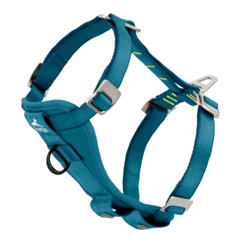 Teal-Hundegeschirr mit verstellbaren Riemen und Metall-Schnallen, mit einem Logo und einem D-Ring zur Leinenbefestigung.