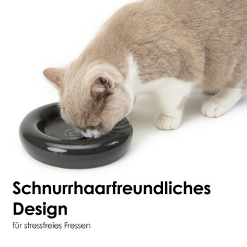 Eine hellgraue Katze frisst aus einer schwarzen erhöhten Schüssel. Der Text erklärt, dass diese Position Katzen hilft, langsamer zu essen.