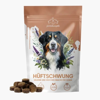 Eine Tüte mit Hundeleckerlis mit einem lächelnden Berner Sennenhund und Blumen, beschriftet mit "Hüftschwung - Gelenke und Knochen Snacks für Hunde."
