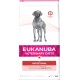 Veterinary Diets Intestinal dla dorosłych psów 2x12 kg