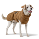 Ein Hund, der einen braunen, gepolsterten Wintermantel trägt, steht aufrecht und zeigt den hohen Kragen und die verstellbaren Riemen des Mantels.