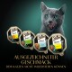 Eine graue Katze leckt sich die Lippen vor Sheba Sauce Collection-Packs mit Geschmacksrichtungen wie Huhn und Forelle.