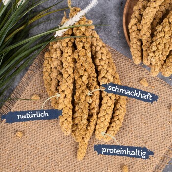 Nahaufnahme von natürlichen Hirseähren, die auf einer strukturierten Oberfläche angeordnet sind, beschriftet mit 'natürlich', 'schmackhaft' und 'proteinhaltig'.