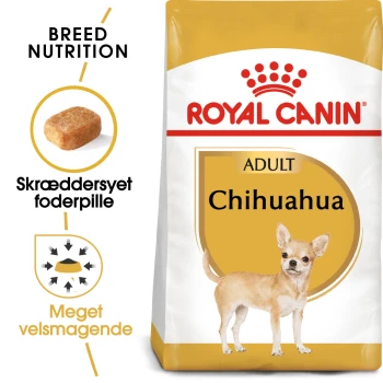 Chihuahua Adult 1.5 kg