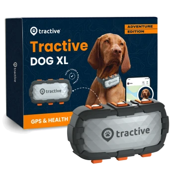 Tractive DOG XL GPS- und Gesundheits-Tracker: grauer robuster Tracker auf der Verpackung, an einem Hundehalsband und auf einem Telefon; Schriftzug 'ADVENTURE EDITION'.