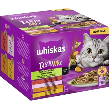 Whiskas Tasty Mix Mega Pack Katzenfutterbox mit einer grauen Katze, die Geschmäcker wie Huhn, Gemüse und Sauce hervorhebt.