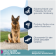 Deutscher Schäferhund im Freien mit blauem Himmel und grüner Landschaft. Der Text hebt die Vorteile von Hundefutter für Verdauung, Muskeln und Gelenkgesundheit hervor.