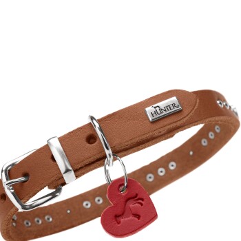 Braunes Lederhundehalsband mit silberner Schnalle und HUNTER-Metallplakette, mit rotem Herzanhänger mit Hundesilhouette