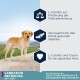 Labrador Retriever auf einem Weg, der L-Carnitin für Fettverbrennung, Glucosamin für Gelenke und Herzgesundheitsvorteile hervorhebt.