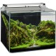 Un aquarium magnifiquement aquascapé avec des plantes vertes luxuriantes, des formations rocheuses et un petit ruisseau, avec des poissons colorés nageant partout.