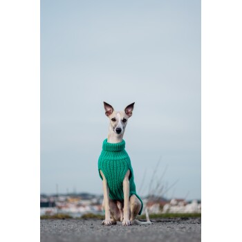 Ein Hund, der einen gemütlichen grünen Strickpullover trägt, sitzt auf einer Kiesoberfläche, mit dem Rücken zur Kamera vor einem sanften Himmelshintergrund.