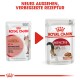 Bild, das zwei Verpackungsdesigns des Royal Canin "Instinctive" Katzenfutters vergleicht, mit einer Katze und Text, der das neue Aussehen und das verbesserte Rezept hervorhebt.