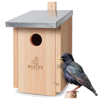 Ein hölzernes Vogelhaus mit einem runden Eingang, das das Logo "WILDTIER LIEBE" zeigt, neben einem bunten Star, der auf einem Ast sitzt.
