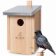Ein hölzernes Vogelhaus mit einem runden Eingang, das das Logo "WILDTIER LIEBE" zeigt, neben einem bunten Star, der auf einem Ast sitzt.