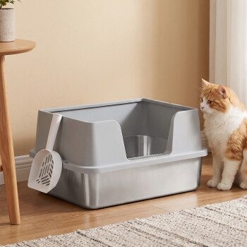 Graue Katzentoilette mit hohen Seitenwänden und befestigter Schaufel auf Holzboden neben einer orange-weißen Katze.