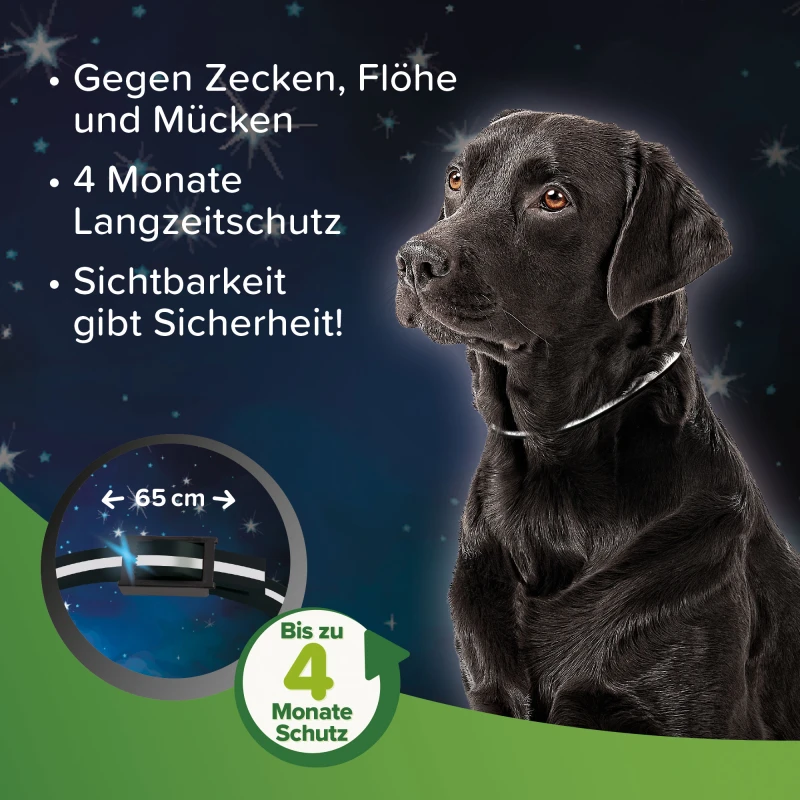 Beaphar reflektierendes Zecken- und Flohschutz Halsband