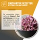Schwarze Schüssel mit getrockneten lila Kräutern mit Text über ein einzigartiges, immunstärkendes Rezept für Hunde und Katzen mit Vitamin C, Zink und Echinacea.