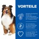 Ein glücklicher Collie leckt sich die Lippen neben einem blauen Panel, das Vorteile für Hunde mit Unverträglichkeiten und schmackhaften knusprigen Pellets hervorhebt.