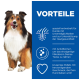 Ein glücklicher Collie leckt sich die Lippen neben einem blauen Panel, das Vorteile für Hunde mit Unverträglichkeiten und schmackhaften knusprigen Pellets hervorhebt.