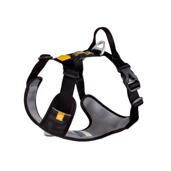 Geschirr Roam Black XS