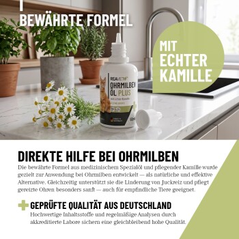 Eine Person, die Öl ins Ohr einer entspannten orangefarbenen Katze aufträgt, mit einer Grafik einer Pipettenflasche und dem Text 'ANWENDUNG' sowie Anweisungen auf Deutsch.
