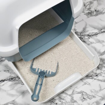 Eine weiße Katzentoilette mit einer grauen Schaufel, die auf sandiger Streu ruht, vor einem Marmorhintergrund.