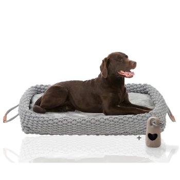 Ein brauner Labrador Retriever liegt bequem auf einem grauen gewebten Haustierbett mit einem weichen Innenraum. Ein beiges Spielzeug mit einem herzförmigen Ausschnitt liegt neben dem Bett.