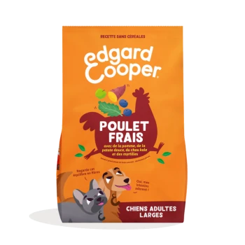 Sac de nourriture pour chiens Edgard Cooper orange portant l'inscription « Poulet Frais », silhouette de poulet avec légumes et deux chiens dessinés, « Chiens Adultes Larges ».
