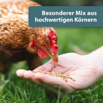 Huhn pickt gemischte Körner aus einer menschlichen Hand im Gras; Textbanner: „Besonderer Mix aus hochwertigen Körnern“