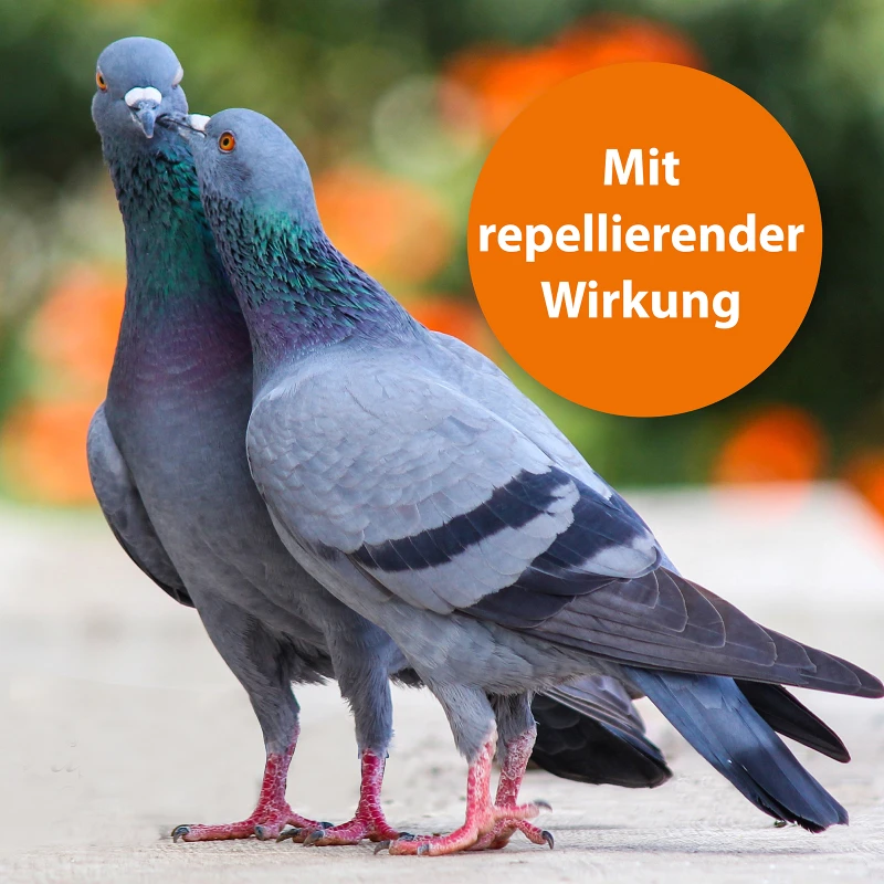 ARDAP Spot-On für Ziervögel & Brieftauben