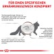 Illustration des Verdauungssystems einer Katze, mit deutschem Text über Verdauungsstörungen, Symptome und Risiken von ungesundem Gewichtsverlust.