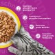 Draufsicht auf getigertes graues Kätzchen, das Nassfutter aus einer gelb gerandeten Schüssel frisst; deutscher Vorteilstext: Haut & Fell / Immunsystem / Muskeln / Verdauung.