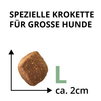Braune Kroketten mit Größenpfeilen, grünem 'L' und Etikett 'ca. 2 cm'; Überschrift 'SPEZIELLE KROKETTE FÜR GROßE HUNDE'.