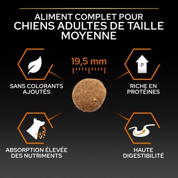 Croquettes sèches pour chiens adultes moyens, 19,5 mm, sans colorants ajoutés, riches en protéines, absorption des nutriments et digestibilité élevées.