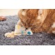 Eine orangefarbene getigerte Katze liegt auf einem grauen Teppich und knabbert verspielt an einem kleinen, gemusterten Stoffspielzeug mit bunten Fischen und Vögeln.