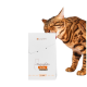 Braun getigerte Katze reibt sich und leckt an einer weißen Lucky-Kitty 'Katzenfutter Filet-Sticks'-Box mit Aufschrift '100% Lachs'.