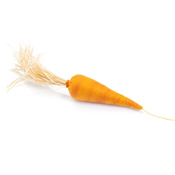 Ein plüschiges orangefarbenes Karotten-Spielzeug mit einem Strohhäufchen oben, entworfen für Haustiere, vor einem weißen Hintergrund.