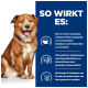 Ein brauner Hund sitzt vor einem blauen Hintergrund mit Text über die Vorteile von Tiernahrung wie einzigartiges Protein und Omega-3-Fettsäuren.