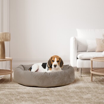 Ein gemütliches Hundebett in einem modernen Wohnzimmer, mit einem Hund, der bequem darauf ruht. Der Raum hat ein helles Sofa und einen Holztisch.