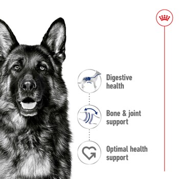 A close-up of a German Shepherd's face with text highlighting benefits: "Digestive health," "Bone & joint support," and "Optimal health support."