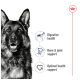 A close-up of a German Shepherd's face with text highlighting benefits: "Digestive health," "Bone & joint support," and "Optimal health support."