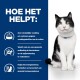 Een zwart-witte kat op een blauwe achtergrond benadrukt voedselvoordelen: smakelijke voeding, gezonde spijsvertering, en energieherstel.