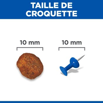 En-tête TAILLE DE CROQUETTE ; 10 mm indiqué au-dessus d'une croquette brune et d'une punaise bleue pour comparaison de taille.