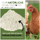 Natürliches Haustierprodukt: hellfarbiges Pulver mit der Aufschrift "Nur natürliche Zutaten" und "100% aus fossilen Kieselalgen-Schalen", neben einem braunen Huhn.