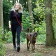 Eine Person in schwarzer Kleidung führt einen glücklichen, gestromten Hund an einer roten Leine durch einen üppigen, grünen Waldweg.