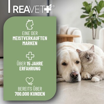 Ein Pflegewerkzeug mit einem grün-schwarzen Griff, beschriftet mit 'REAVET care me', entworfen für Haustiere, erhältlich in den Größen XS-S, S-M und M-L.