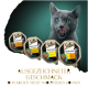 Eine graue Katze leckt sich die Lippen vor drei Sheba-Futtertrays: Truthahn, Geflügel und Huhn. Der Text lautet "Ausgezeichneter Geschmack."